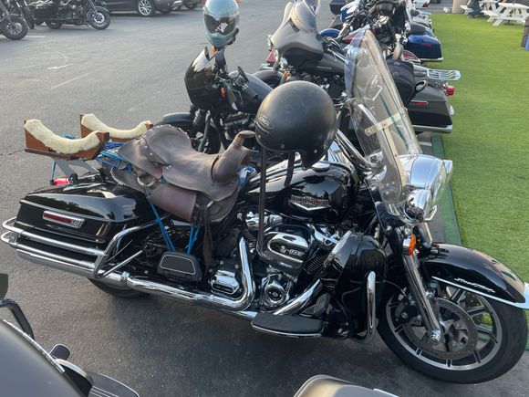 

This is the best custom seat I’ve ever seen!