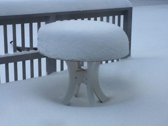 Lots of snow!