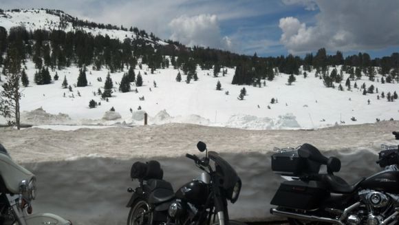 beartooth pass