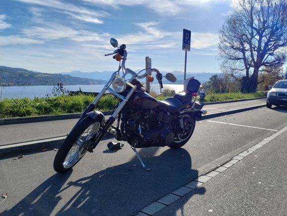 Lake Zurich with the Alps in yhe background