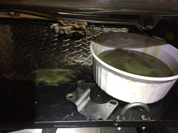 Maybe a quart or so of foamy oil including a long squirt to the left -implying it's being pumped out under some pressure? Is that normal??