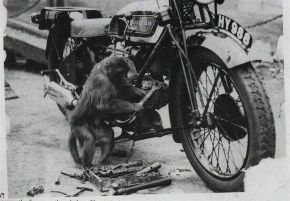 If it was easy a monkey could do it