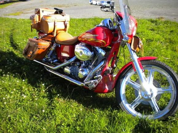 Dyna CVO