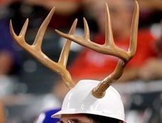 deerhornHelmet