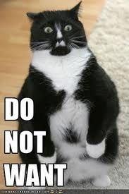 Do not want black white cat