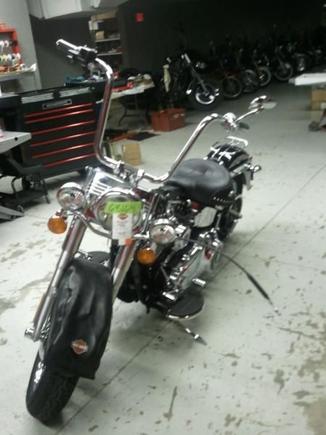 14" Wild1 Chubbys goin on!