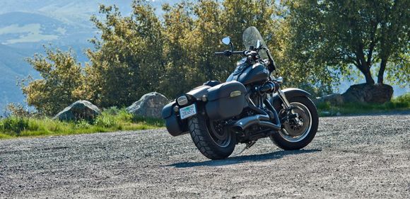 2010 Fat Bob