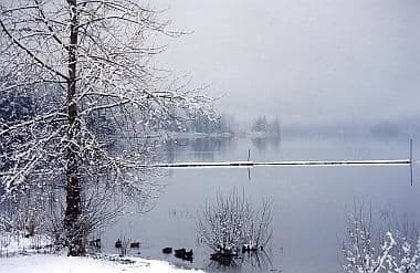 Shawnigan in Winter