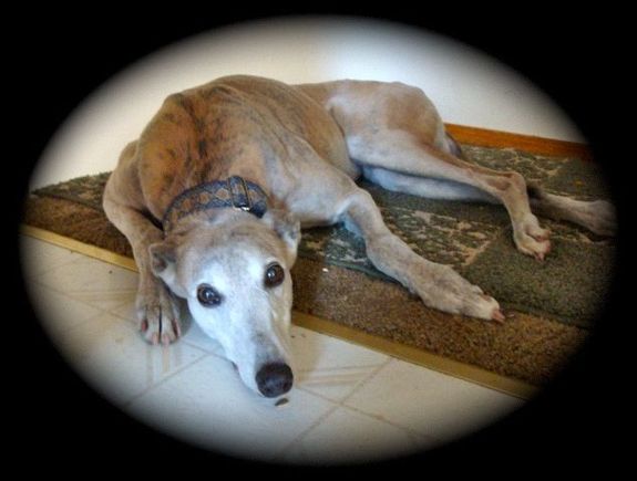 Ann passed Sept 13, 2010