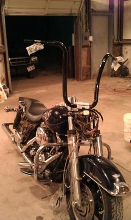 The begining stage from blue to black... 18" carlini gangster apes