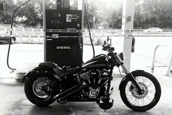 534539 4223550506036 542192746 n