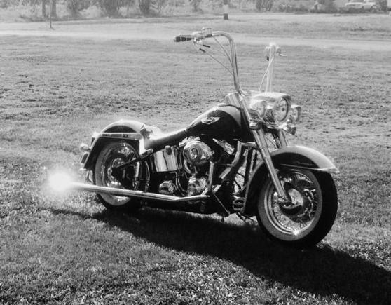 New 16" x 1 1/2" apes and Headlight Nacelle.