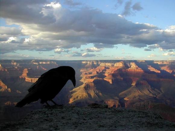 Grand Canyon