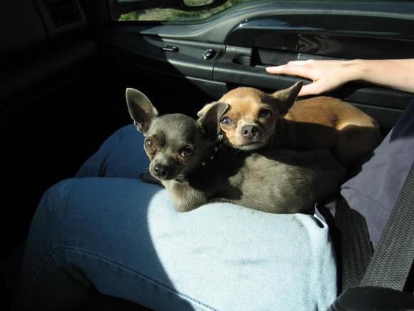 Pictures 065