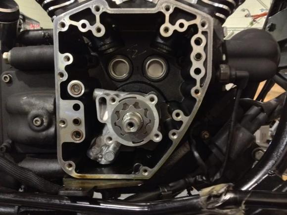 888725 10200857700393758 1356817324 o