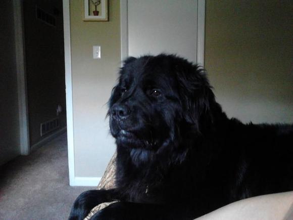 Teddy!!!