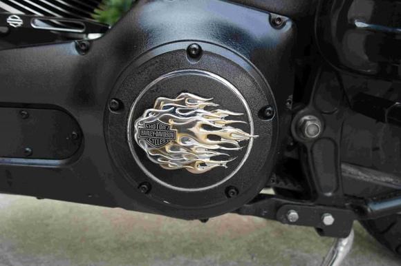 Custom Derby Cover Small