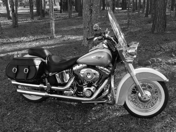 New bags,mufflers, and brake pedal.