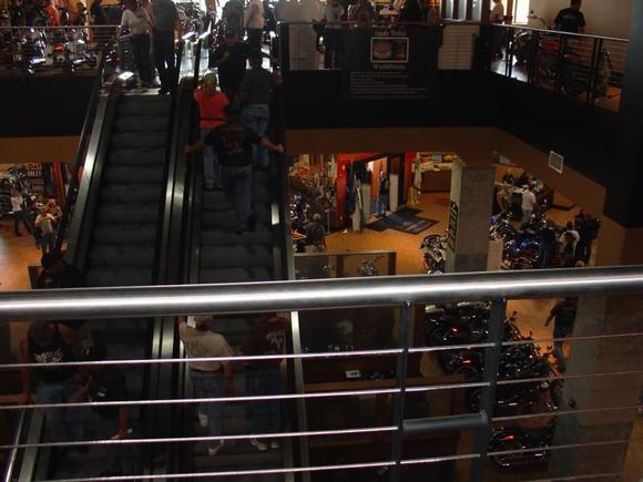 DSC00764
Destination Daytona Dealership