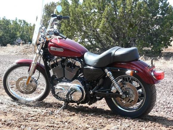 sportster after adds