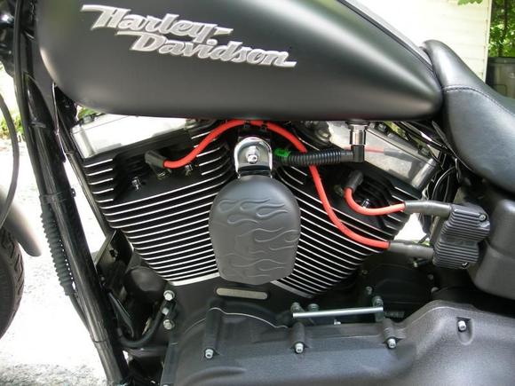 Repainted horn cover