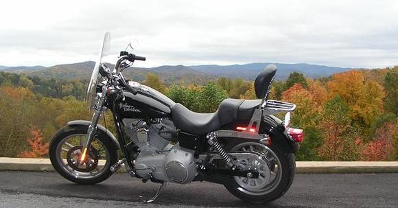 Ellijay Georgia