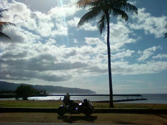 under the sun