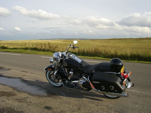 FENWICK MOORS SCOTLAND 2