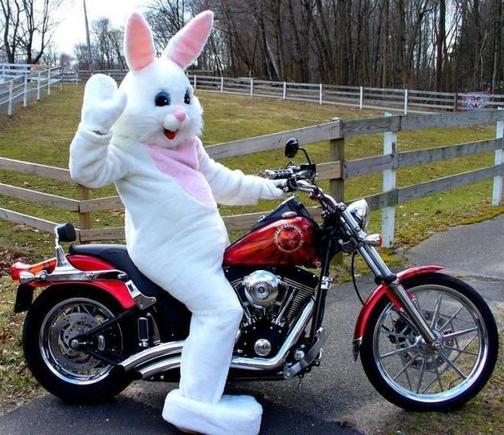 Happy Easter!