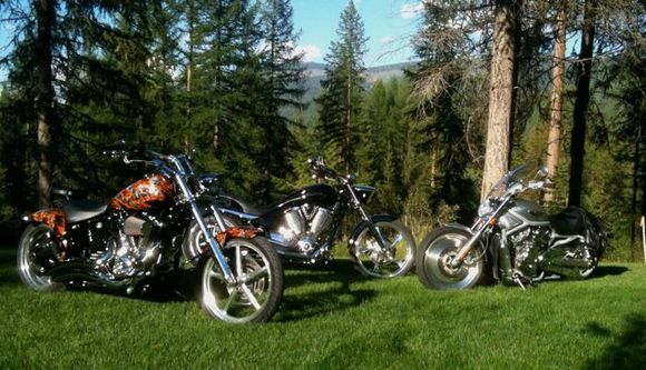 An evening shot with my riding buddies.