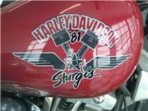 sturgis5
