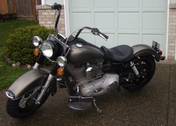 05 FXDI Platinum Bronze (1)
