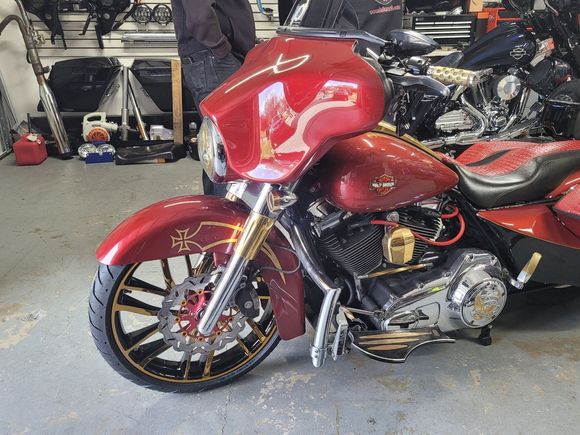 Tank panel gold and horn cover