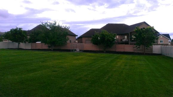 Backyard facing South.