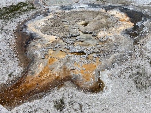 Upper Geyser Basin