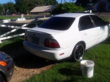 Freshly washed