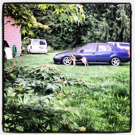 IMG 20120619 182147