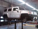 Hummerbe