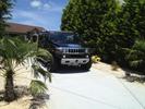 Black Mamba
