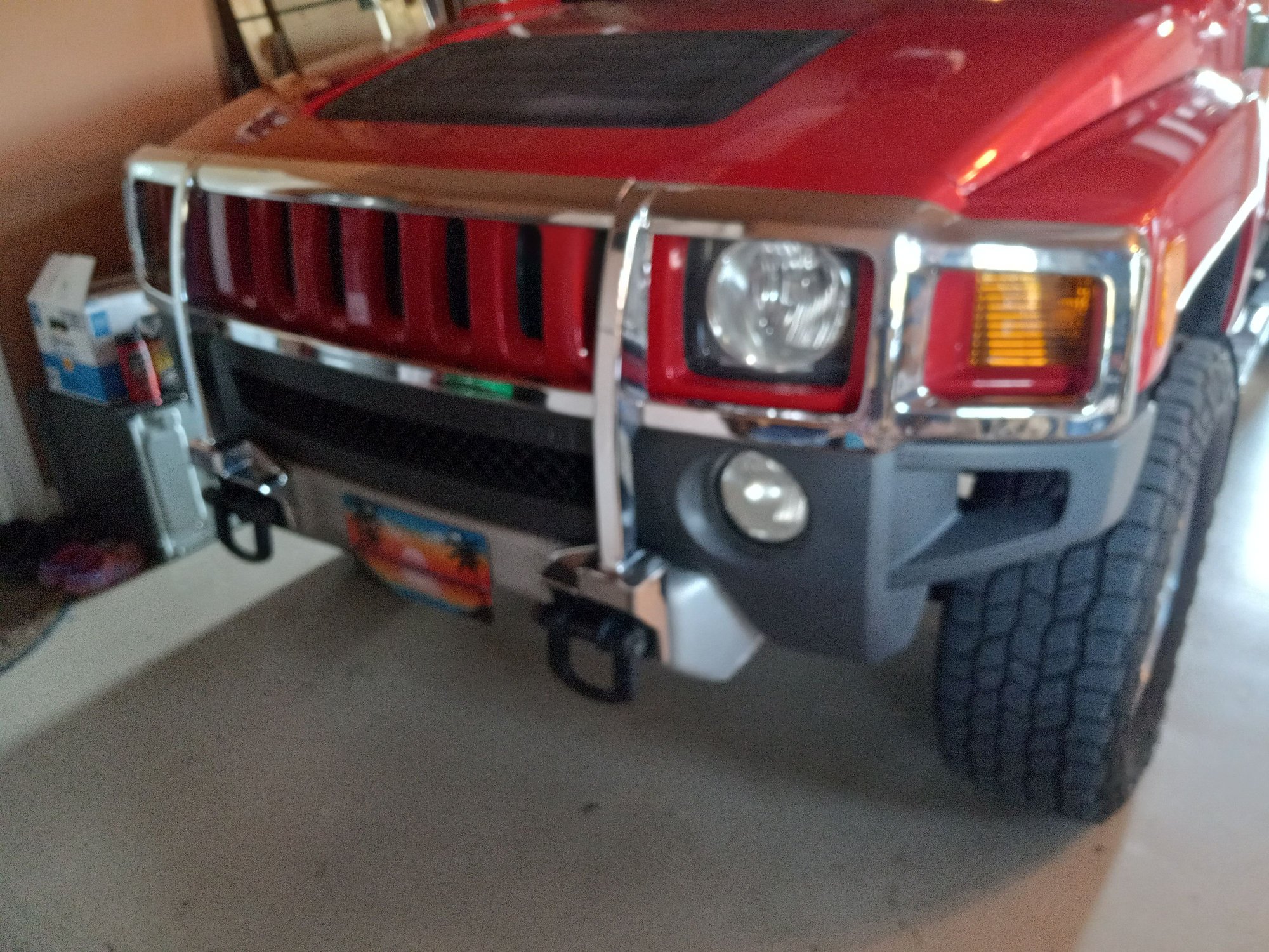 Chrome brush guard.