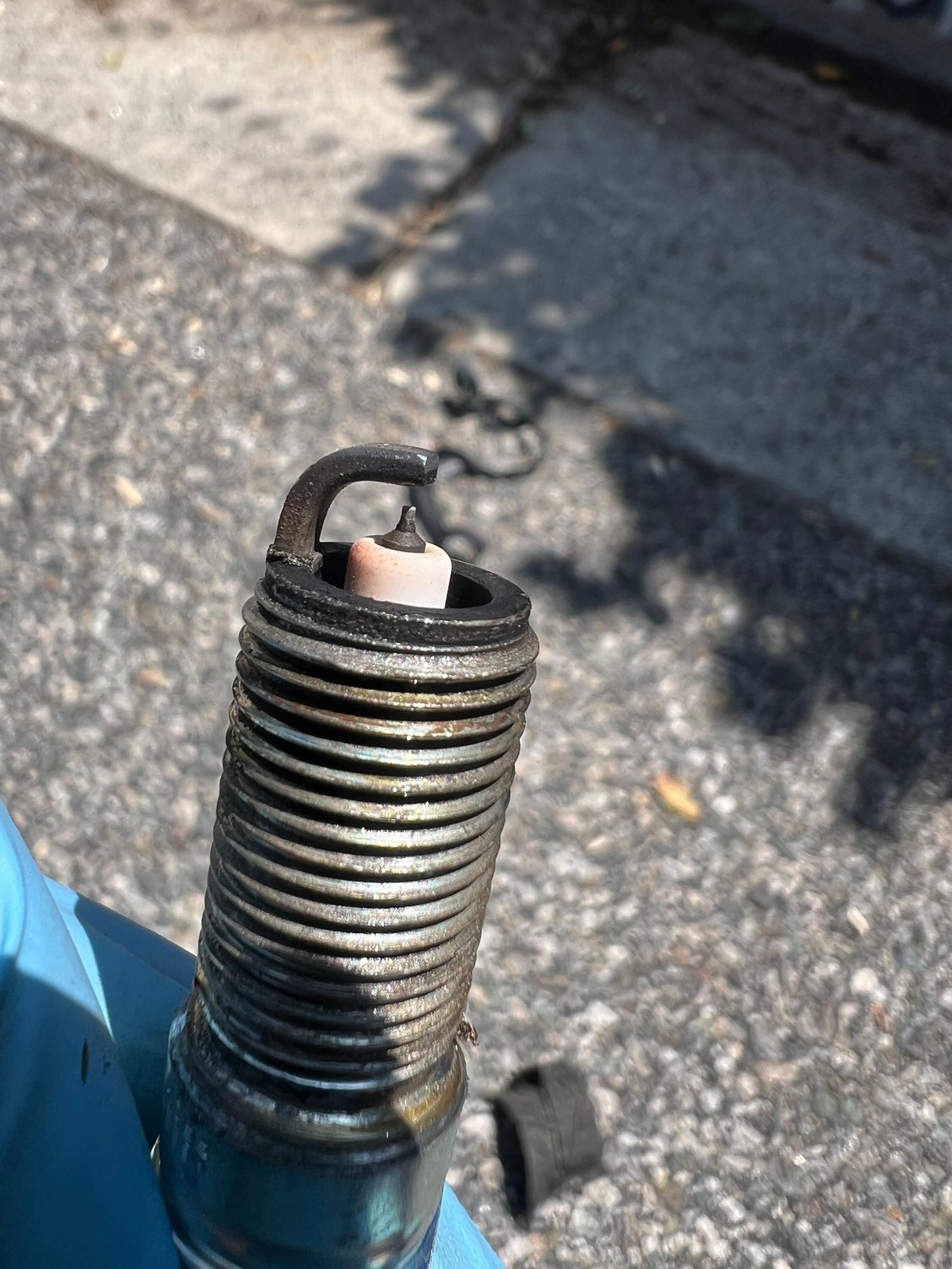 Cyl 5 plug. Looks like the rest I think. 