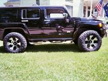 Black Beauty 1