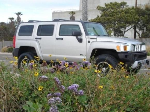 Environmentally friendly ... see the flowers?