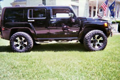 Black Beauty 1