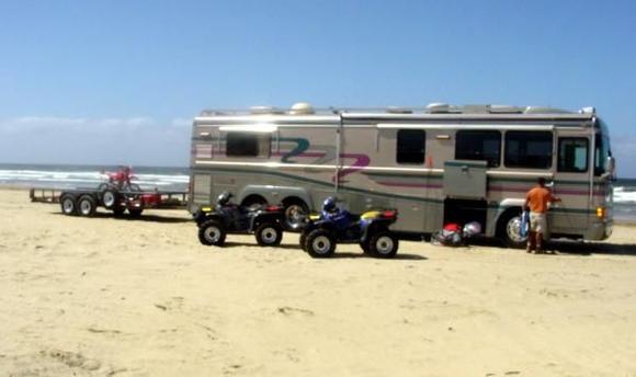 pismo bird