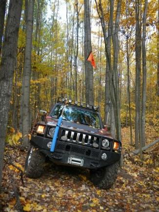 Wheeling