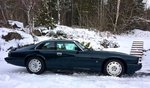 XJR-S 1992
