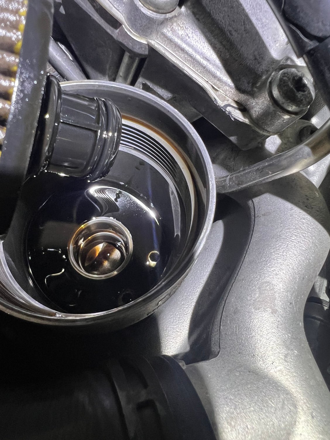 Oil appears normal and fine to me 