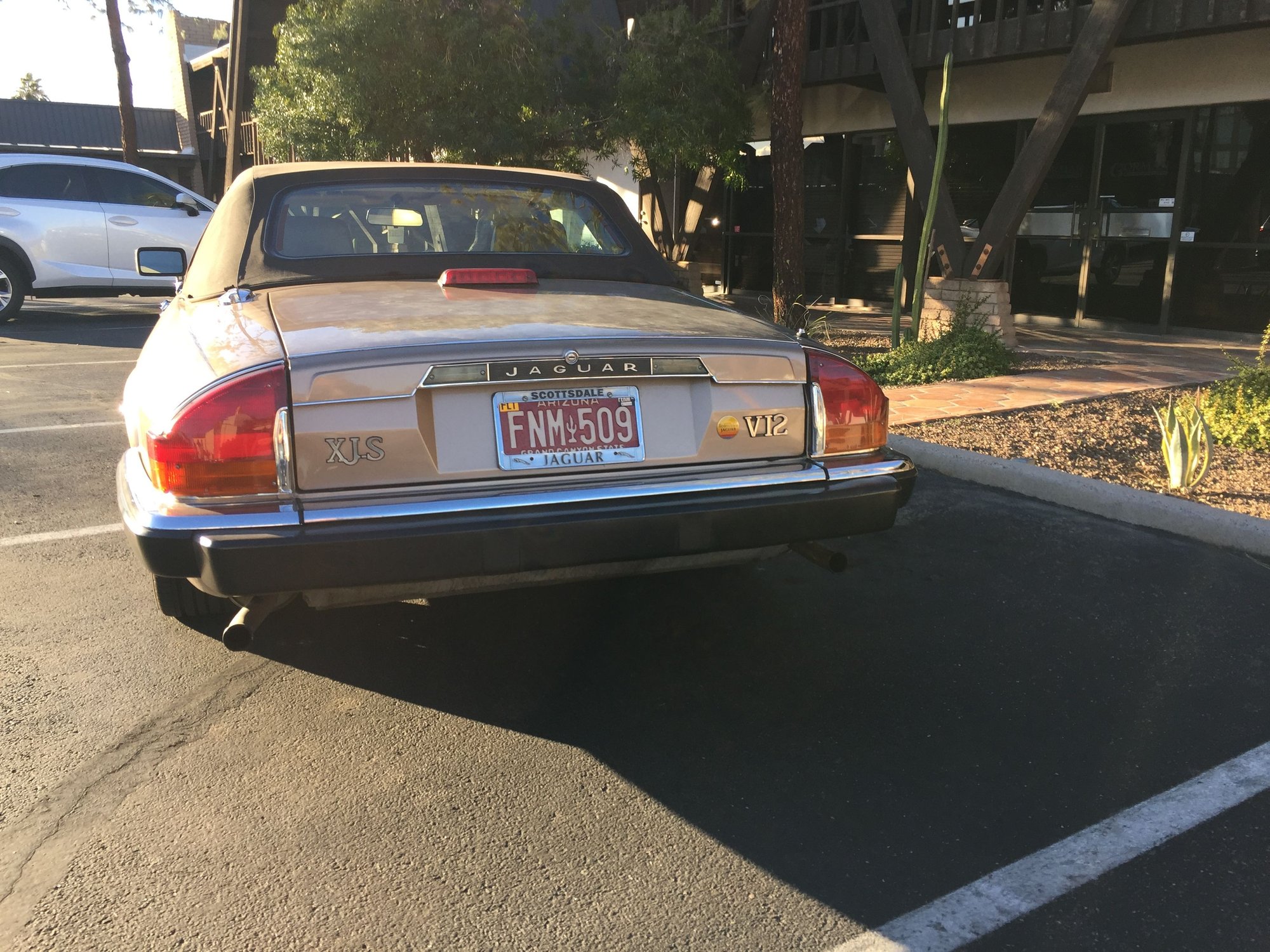 1989 Jaguar XJS - 1989 Jaguar XJ-S Convertible - Phoenix - Used - VIN SAJNV4842KC165248 - 12 cyl - 2WD - Automatic - Convertible - Phoenix, AZ 85012, United States