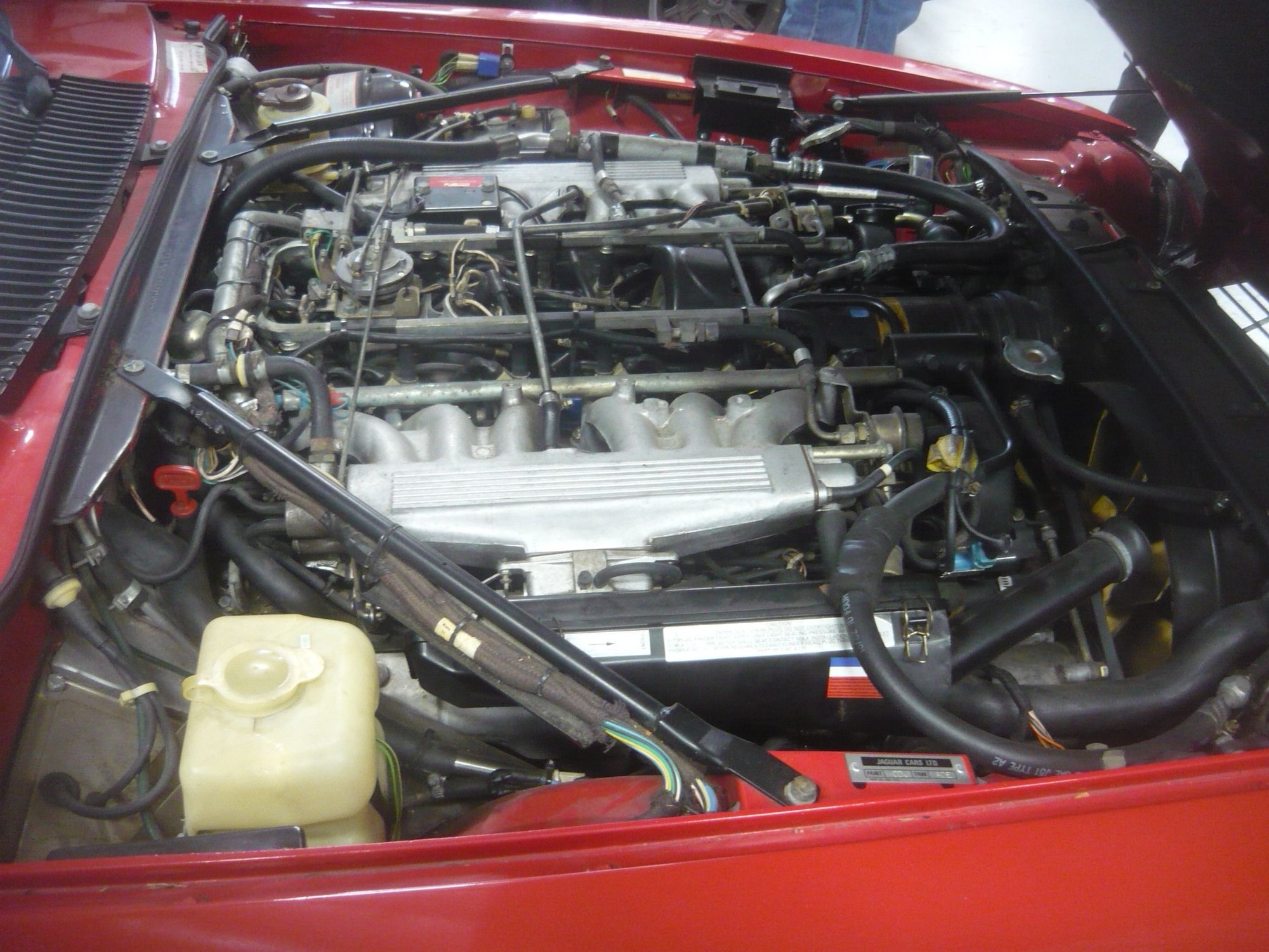 1985 Jaguar XJS - Jaguar XJS HE Coupe- 1985- Near Mint- Time Capsule - Collector Quality !! - Used - VIN SAJNV5844FC121800 - 67,000 Miles - 12 cyl - 2WD - Automatic - Coupe - Red - Los Gatos, CA 95032, United States